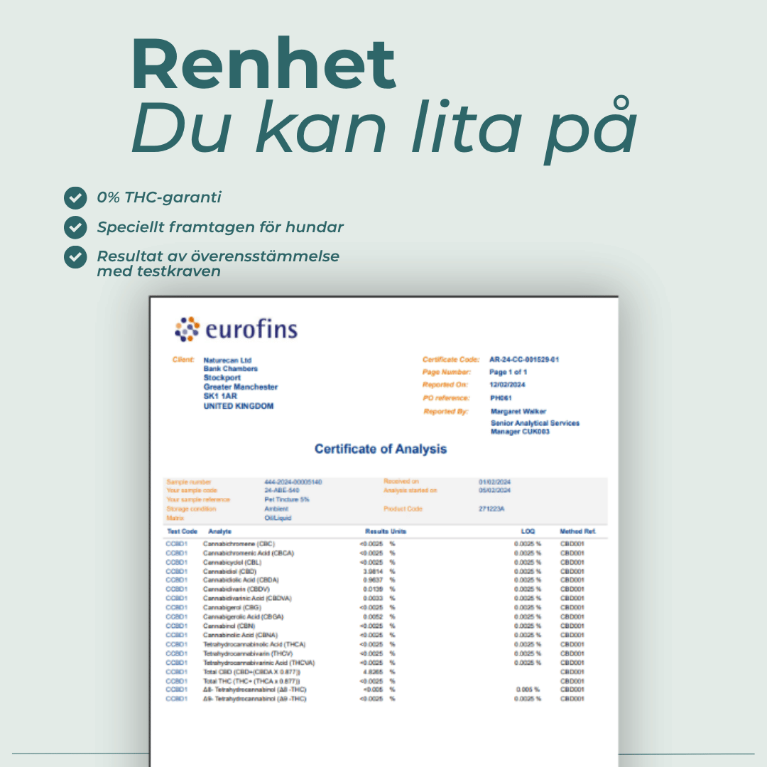 cbd hund labbrapport