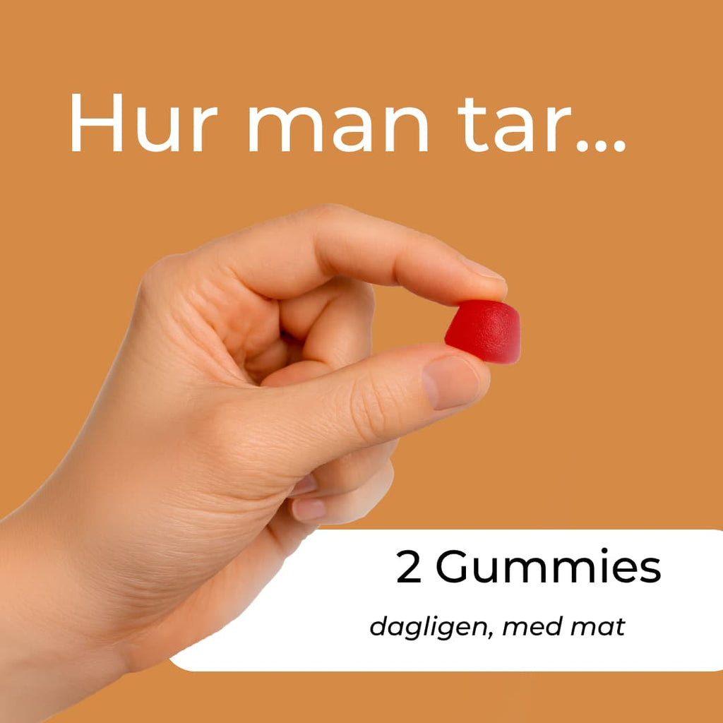 hur man tar reishi gummies