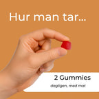 hur man tar reishi gummies