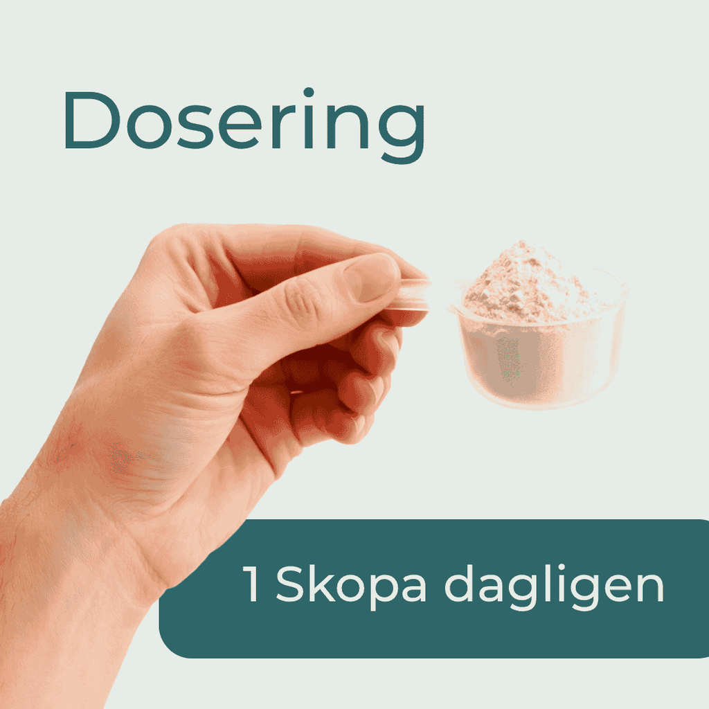 dosering av Superfood Pulver