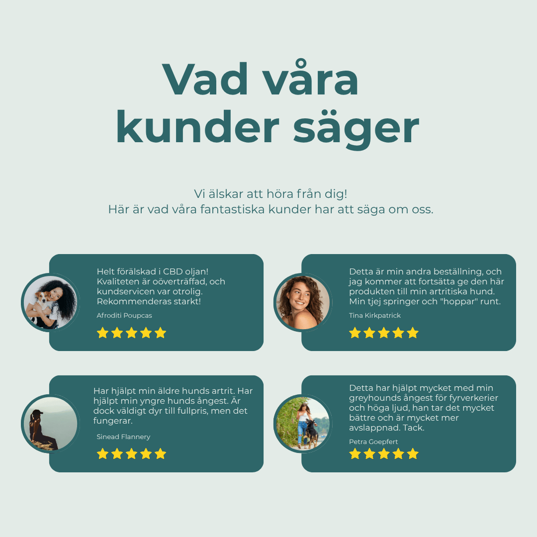 cbd olja hund kund recensioner