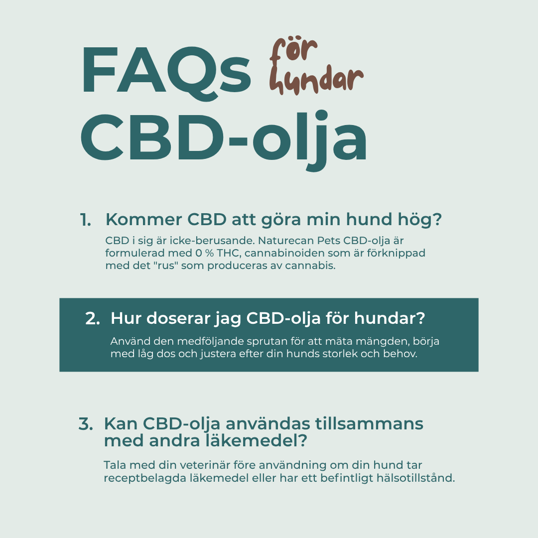 faqs cbd olja hund