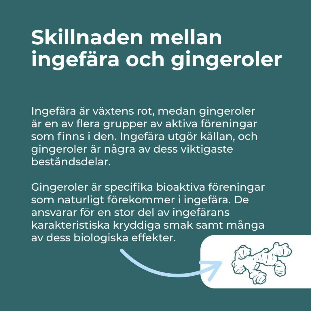 Ekologiska Ingefära Tabletter | 500 mg per kapsel | Naturecan ...