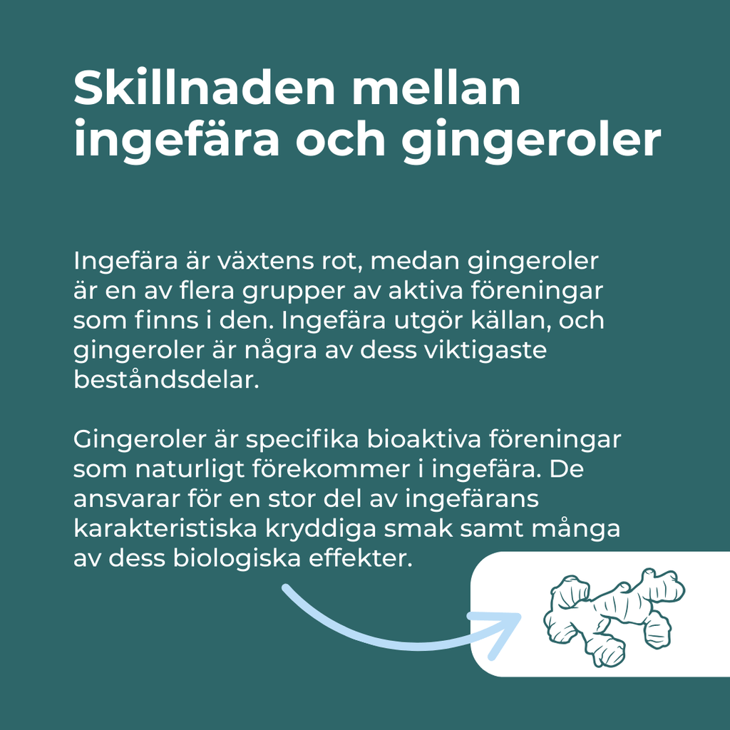 ingefära mot illamående