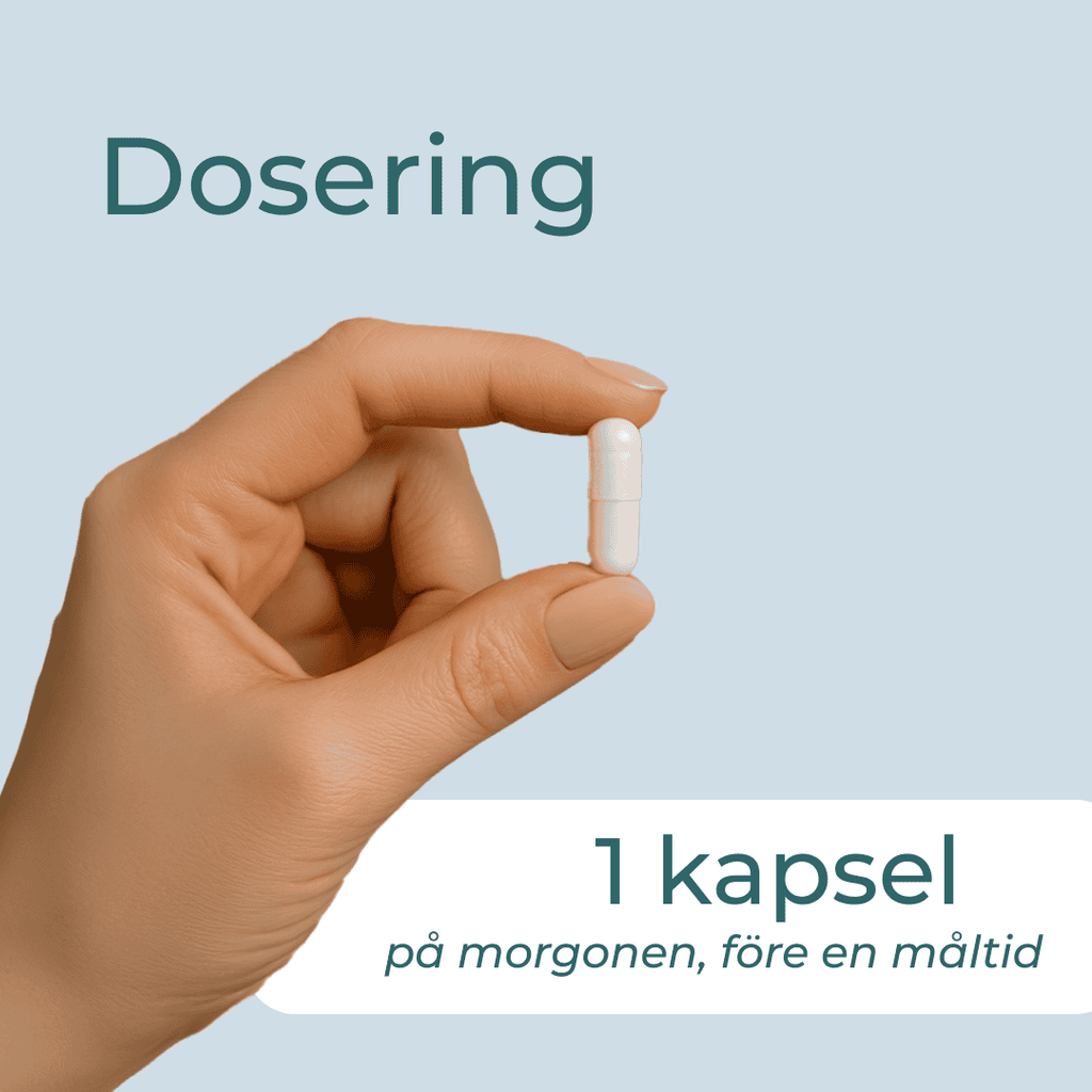 Ekologiska Ingefära Tabletter | 500 mg per kapsel | Naturecan ...