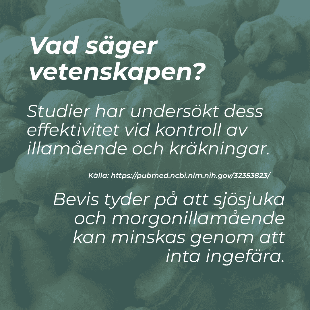 vad är ingefära tabletter