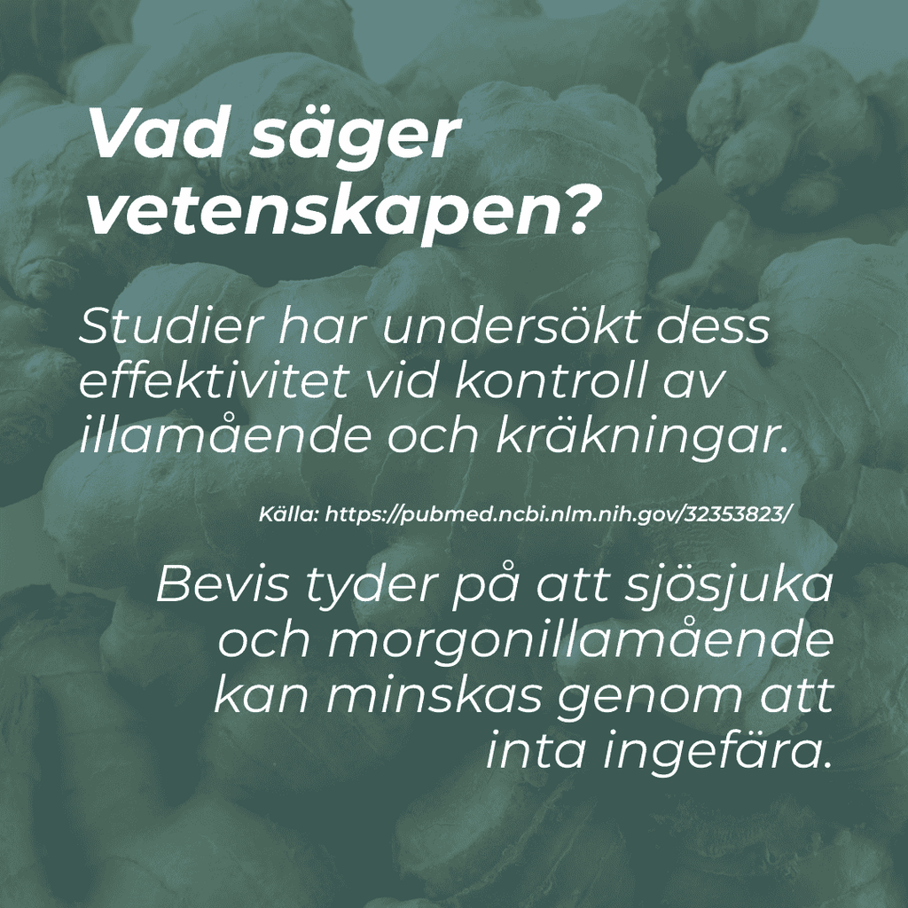 vad är ingefära tabletter