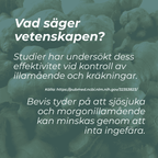 vad är ingefära tabletter