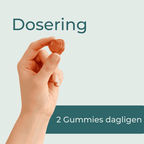 dosering av Magnesium Gummies