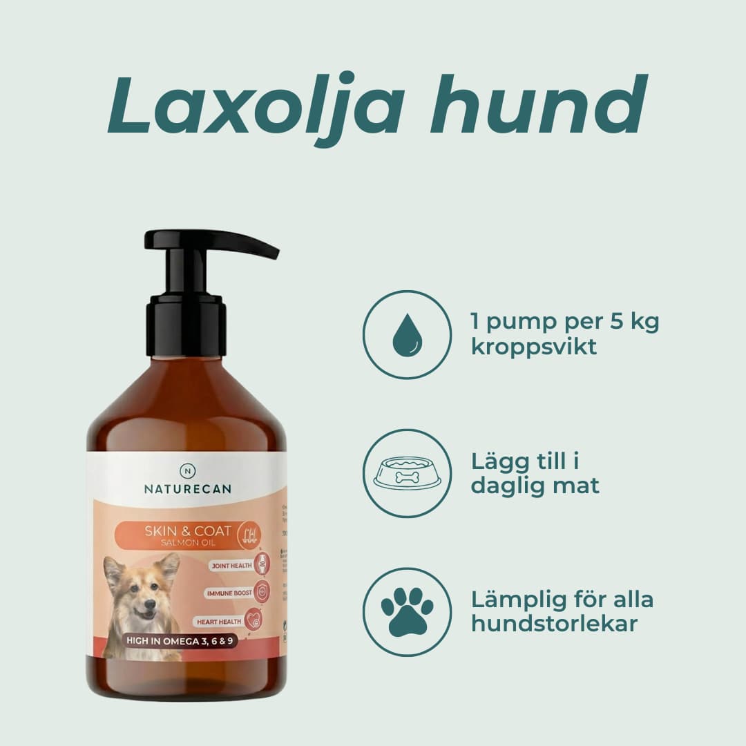 laxolja för hund förmåner