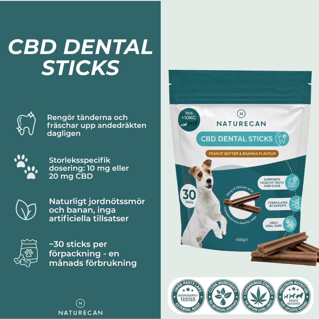 cbd dental sticks