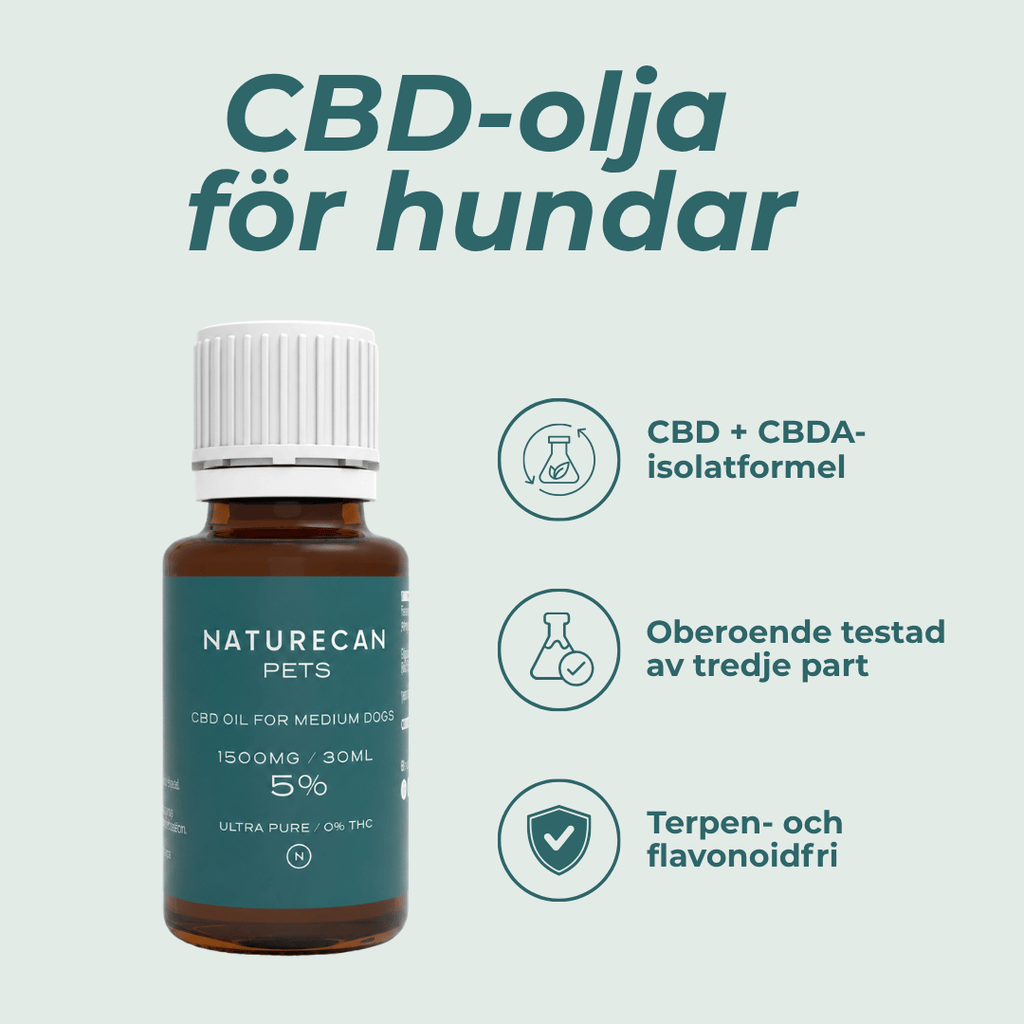 cbd olja för hundar