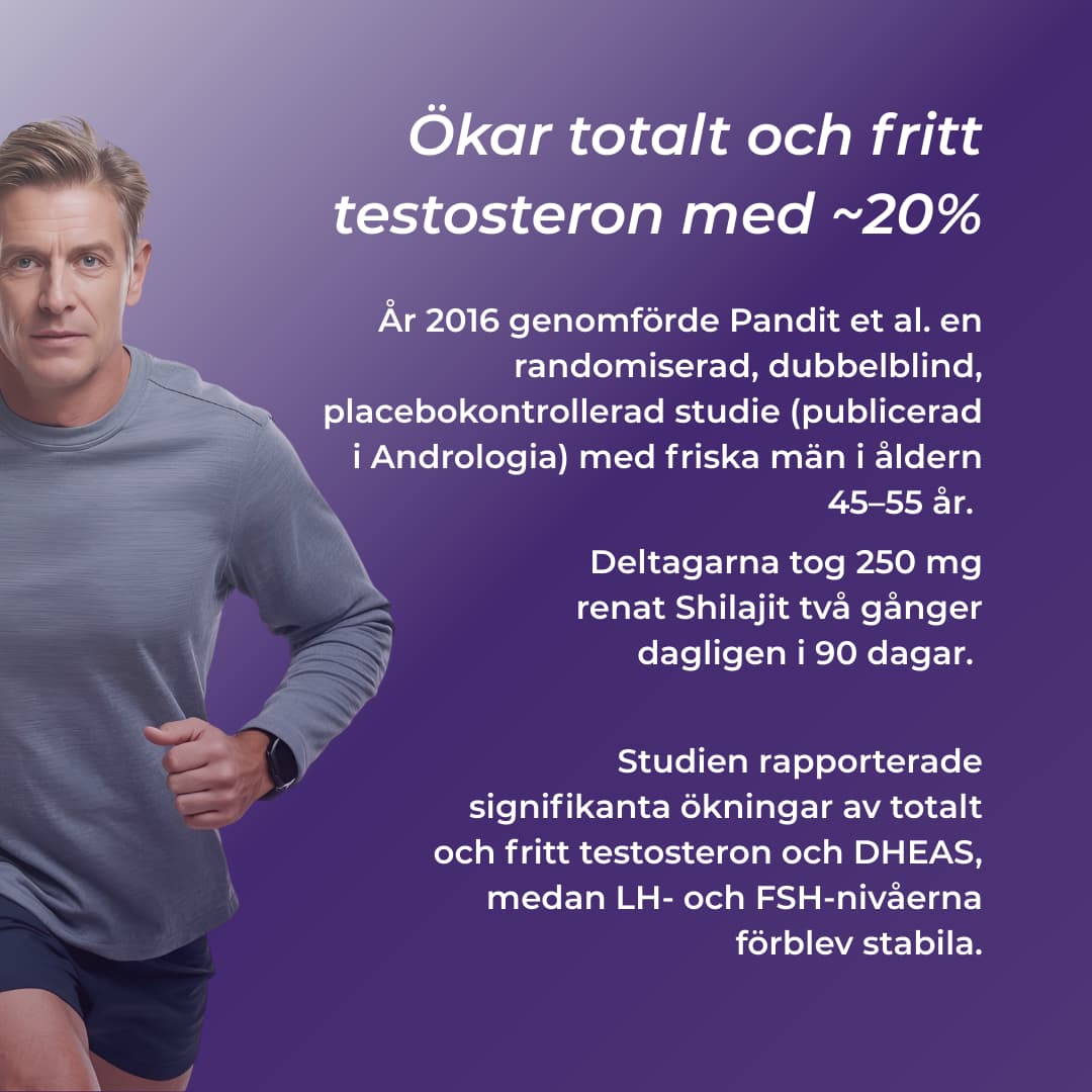 shilajit ökar testosteron 