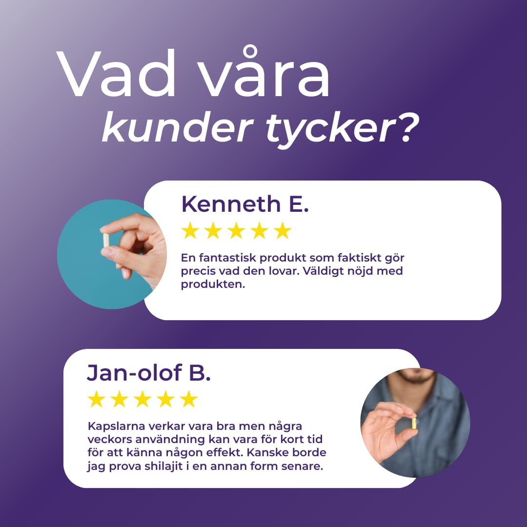 shilajit recensioner