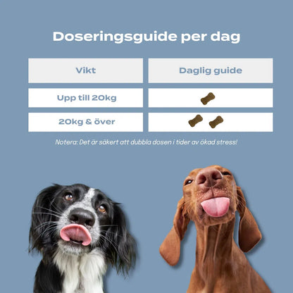 cbd lugnande hundgodis dosering