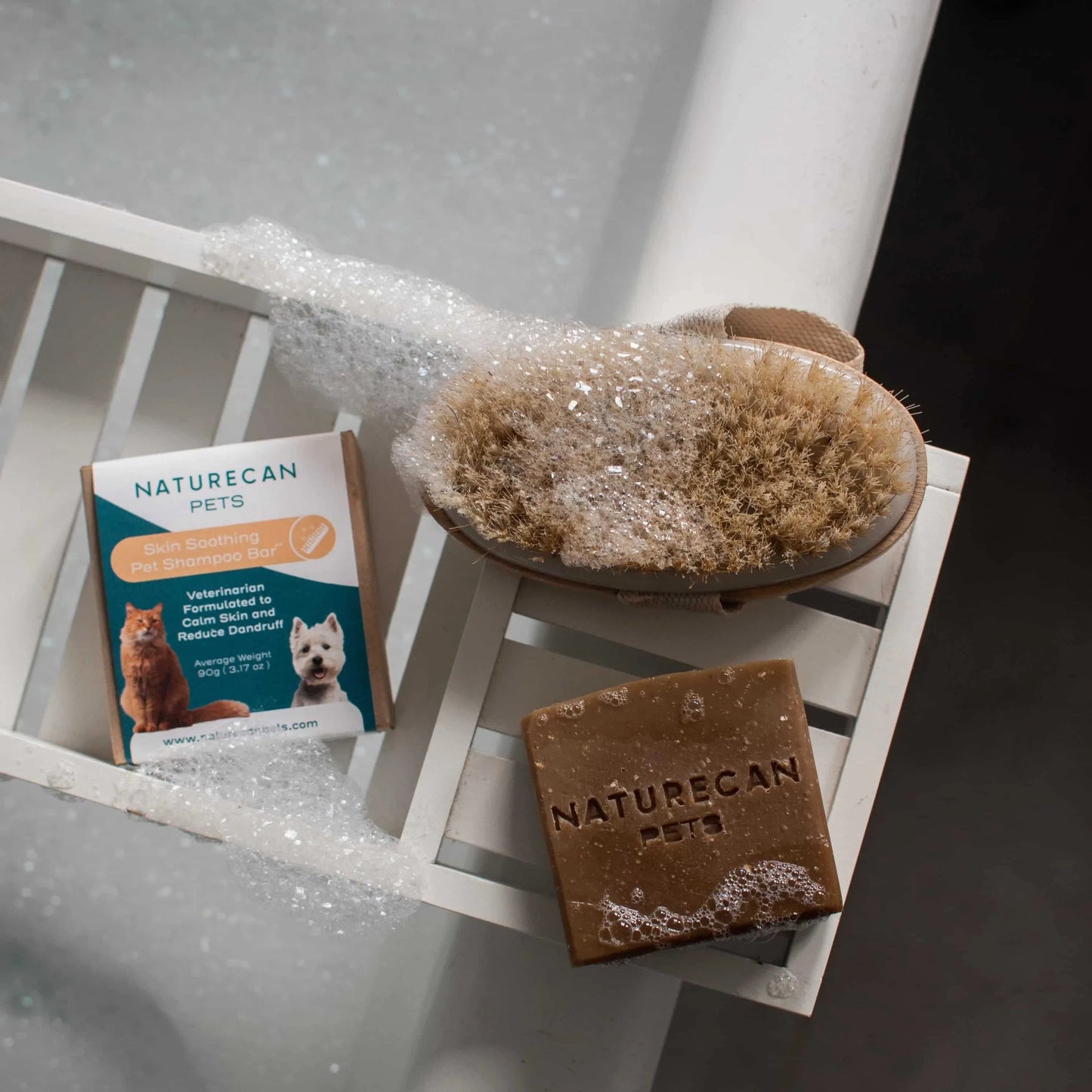 hund och katt schampo