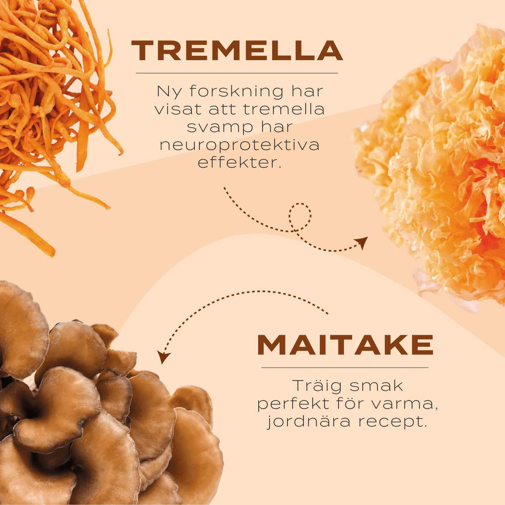 maitake