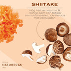 shiitake